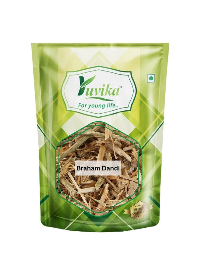 YUVIKA Braham Dandi - Brahm Dandi - Barham Dandi - Tricholepis Angustifolia (400 Grams) - Image 1