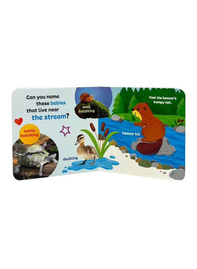 Cottage Door Press Touch & Feel Forest Babies - Image 5