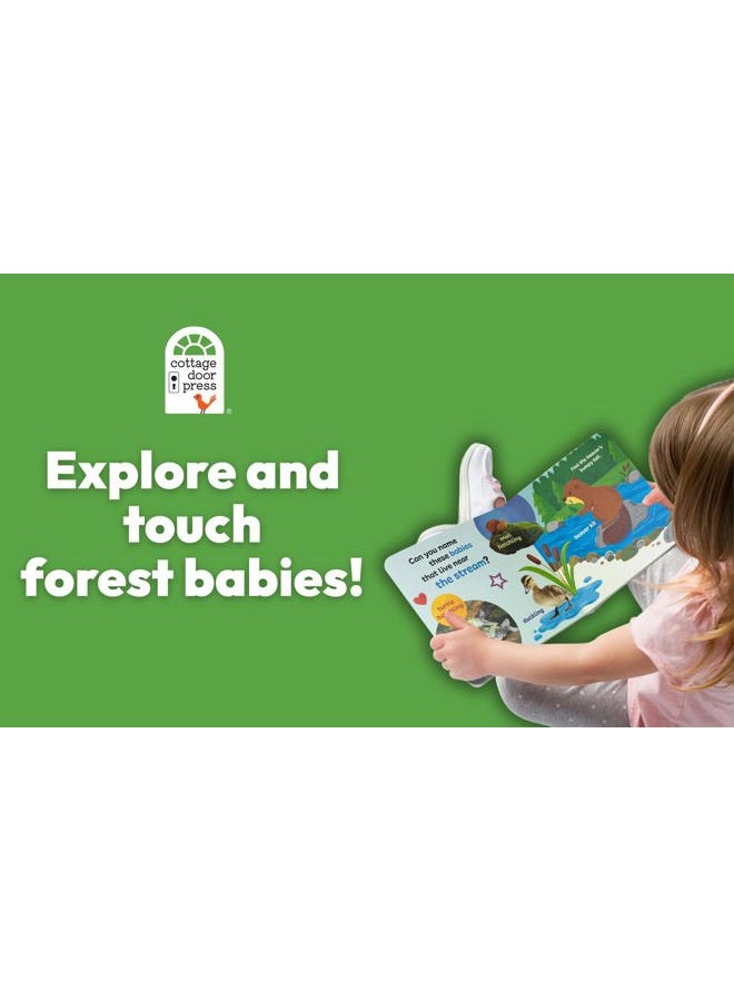 Cottage Door Press Touch & Feel Forest Babies - Image 3