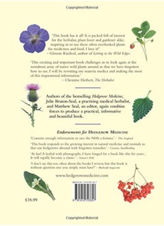 Wayside Medicine: Forgotten Plants and how to use them  - Image 2