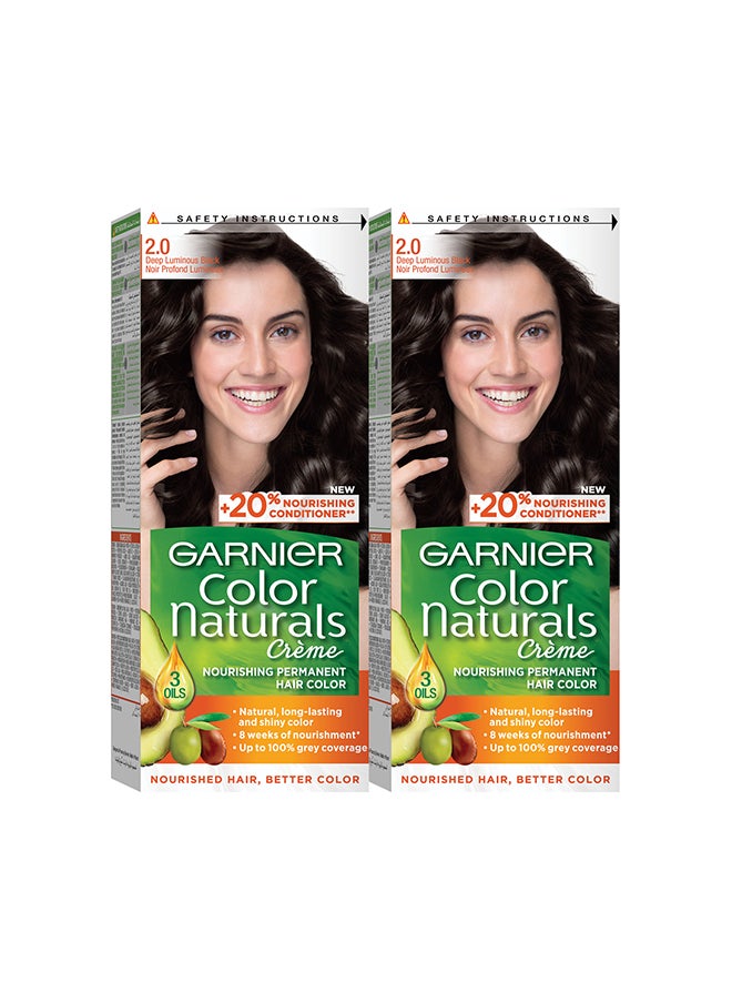 Garnier Color Naturals 2.0 Luminous Black Haircolor Pack of 2  - Image 1