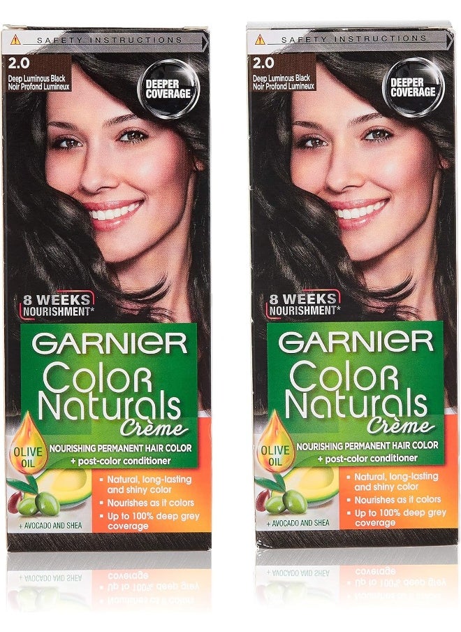Garnier Color Naturals 2.0 Luminous Black Haircolor Pack of 2  - Image 2