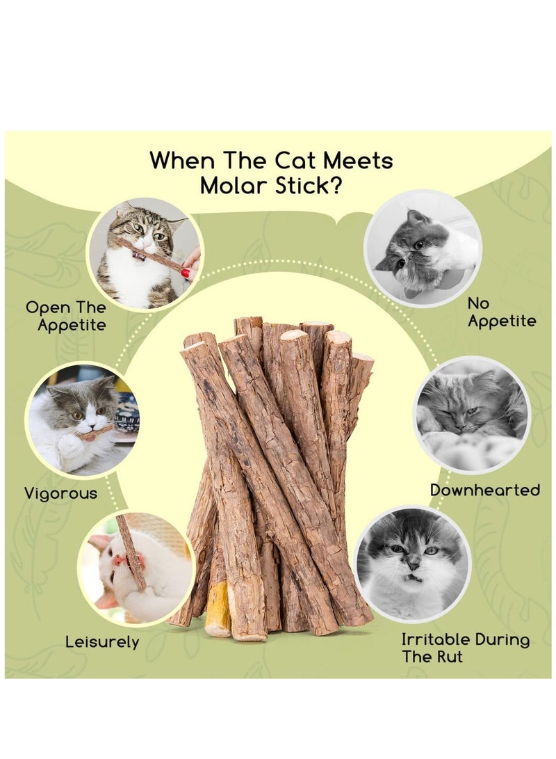 Cat Teeth Grinding Chew Toy for Cat Kitten Natural Matatabi Dental (5pcs)