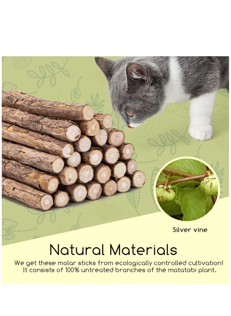 Cat Teeth Grinding Chew Toy for Cat Kitten Natural Matatabi Dental (5pcs)