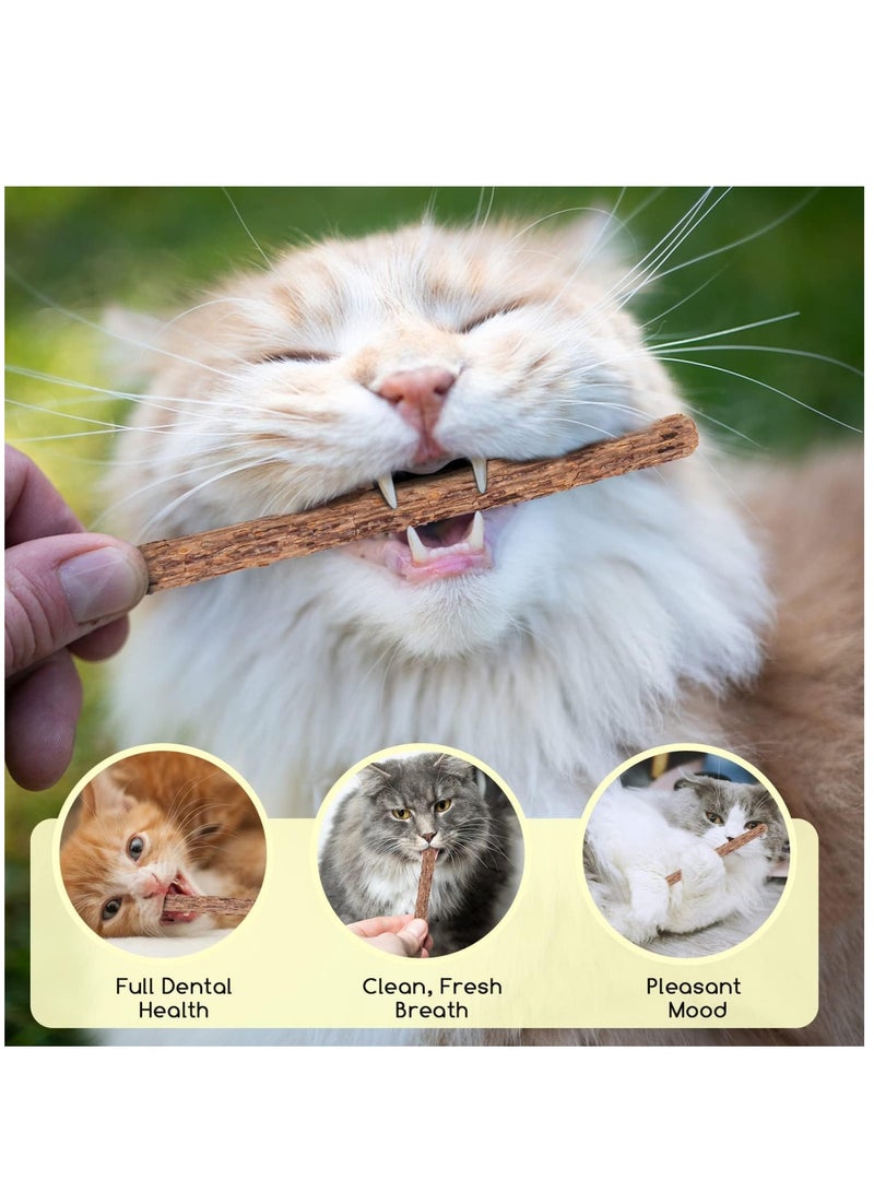 Cat Teeth Grinding Chew Toy for Cat Kitten Natural Matatabi Dental (5pcs)