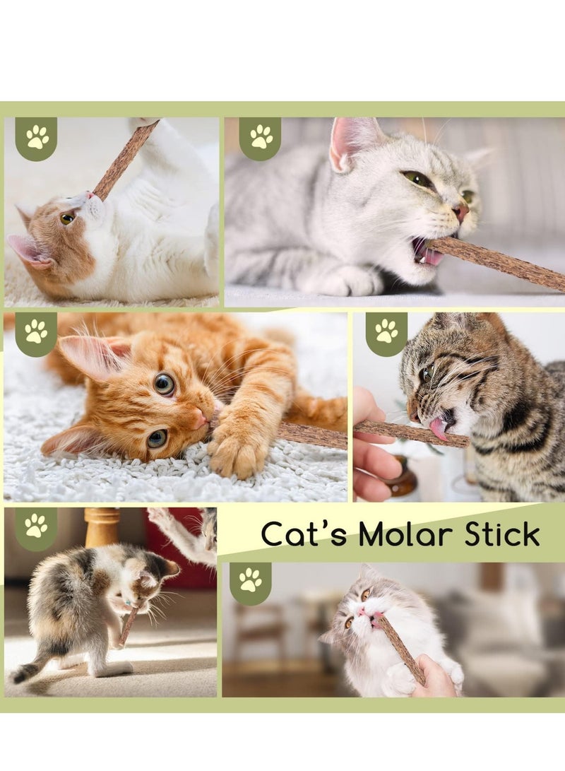 Cat Teeth Grinding Chew Toy for Cat Kitten Natural Matatabi Dental (5pcs)