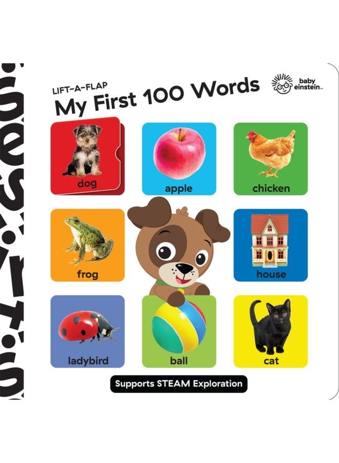 Baby Einstein Lift A Flap My First 100 Words Novelty Board Book - Hardback