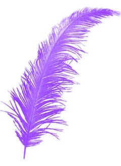 Feather 100 Pieces of Decorative Feather Lilac 12 cm - pzsku/Z0F5E562D36C23B7080ABZ/45/_/1741272364/6571d062-ebff-4bdf-b490-0f76b3710ad1