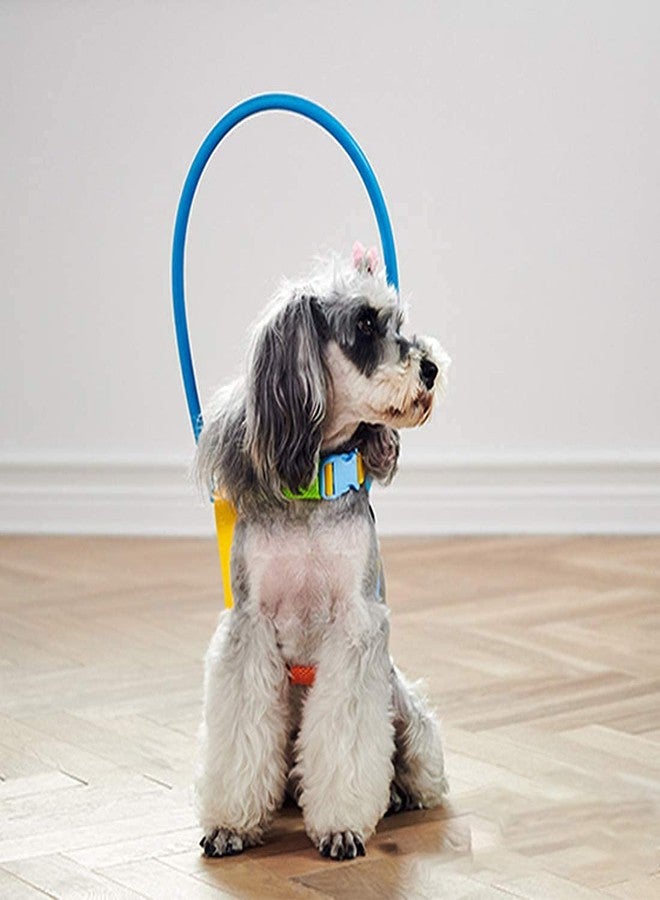 Terizger Blind Pet Anti-Collision Ring，Pet Safety Harness for Blind Dogs Protective Guide Training Vest Ring (XS) - Image 4