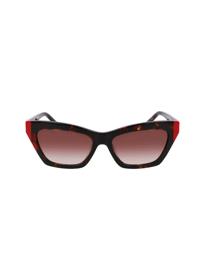 DKNY  FULL RIM ACETATE DKNY SUN DK547S  | Best Price UAE