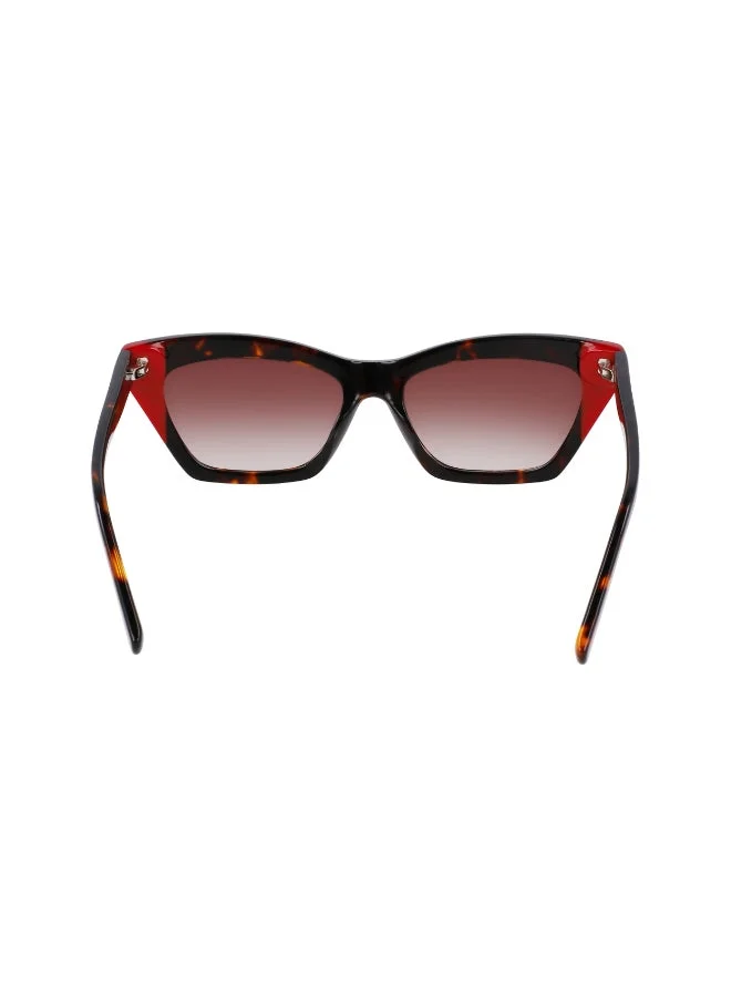 DKNY  FULL RIM ACETATE DKNY SUN DK547S  | Best Price UAE