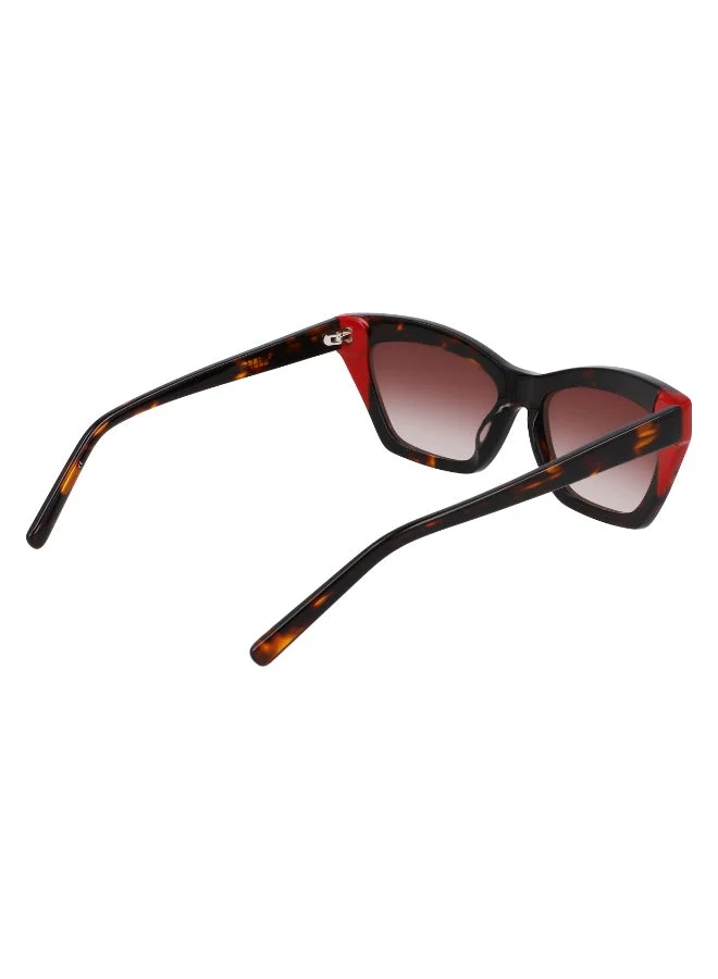 DKNY  FULL RIM ACETATE DKNY SUN DK547S  | Best Price UAE