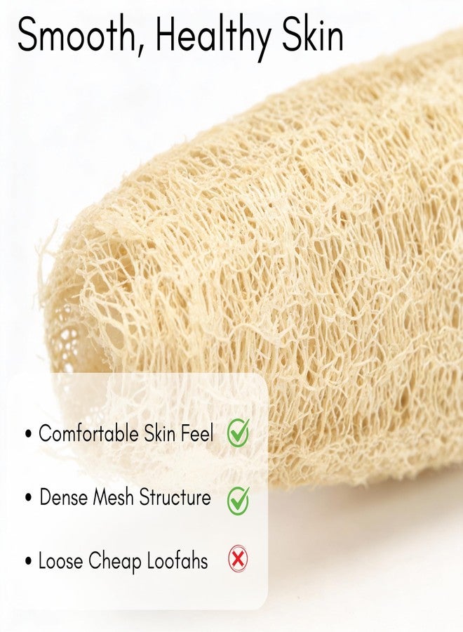 ORRIC Natural Loofah Sponge 8" Exfoliating Body Scrubber Organic Body Scrub Loofah Sponge for Bathing Bath and Shower Use (Pack of 2) - Image 4