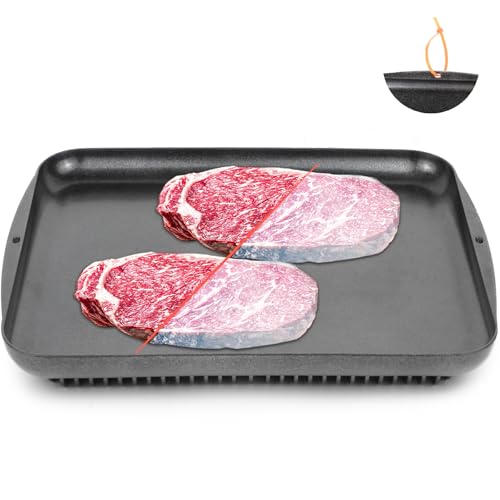 INPARALLUV Defrosting Tray for Frozen Meat Defrosting Tray Thawing Tray for Frozen Meat Defrosting Board Defroster Blue Spatula Plate - Image 1