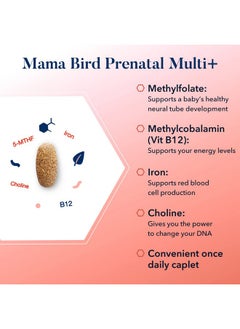 Best Nest Wellness Mama Bird Prenatal Vitamin Methylated Prenatal Vitamins Organic Blend Vegan Methylfolate (Folic Acid For Pregnant Women) B12 Includes Bonus Healthy Pregnancy Secrets Once Daily 30 Ct  - Image 5