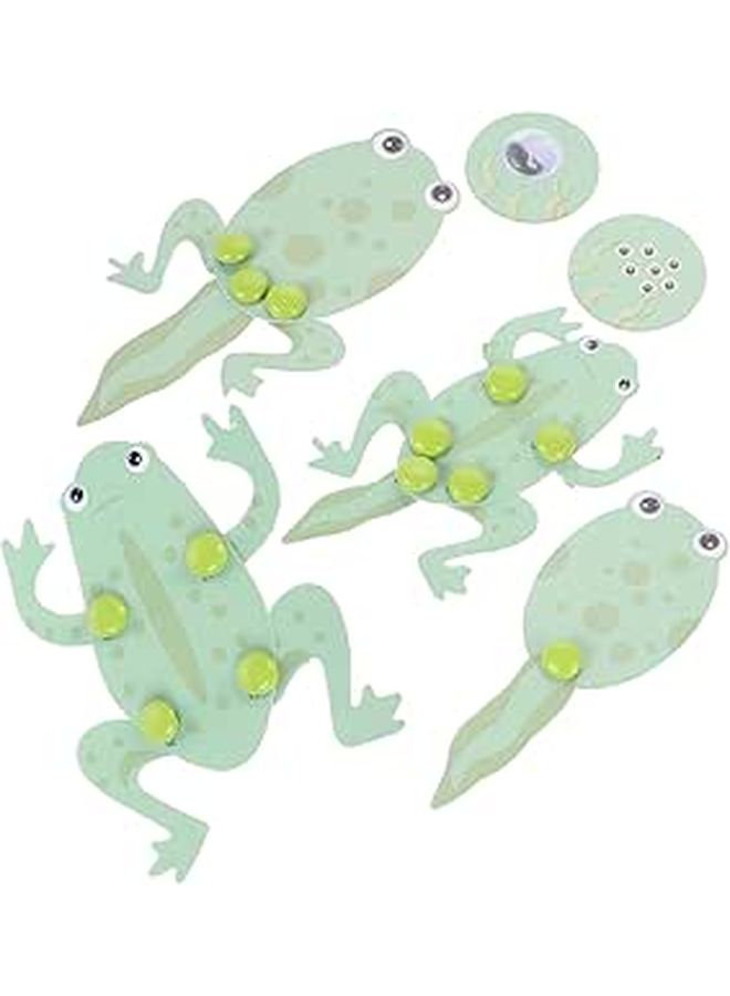 Frog Life Cycle Growth Model Kit Educational Science Experiment Toy for Preschool Kindergarten Students - Image 1