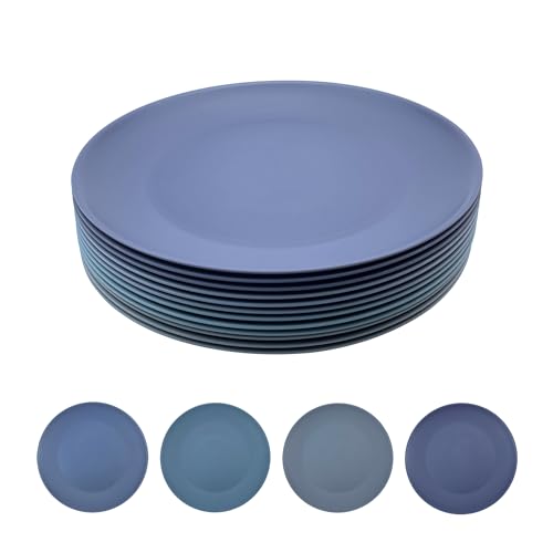 WEXINHAO Plastic Dinner Plates Reusable, Unbreakable Salad Plates 10 inch set of 12, BPA Free Dishwasher & Microwave Safe Party Plate for Kids Kitchen Camper Outdoor (Grey Stone) - Image 1