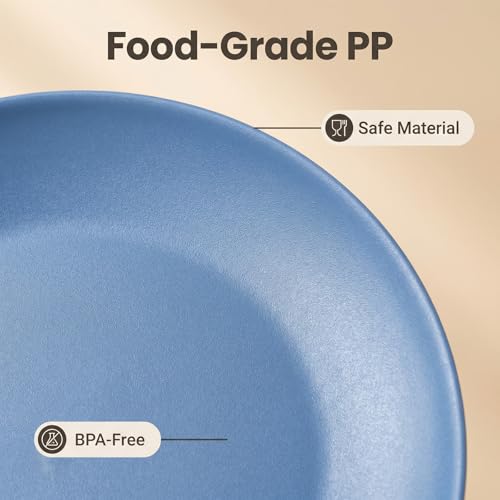 WEXINHAO Plastic Dinner Plates Reusable, Unbreakable Salad Plates 10 inch set of 12, BPA Free Dishwasher & Microwave Safe Party Plate for Kids Kitchen Camper Outdoor (Grey Stone) - Image 3