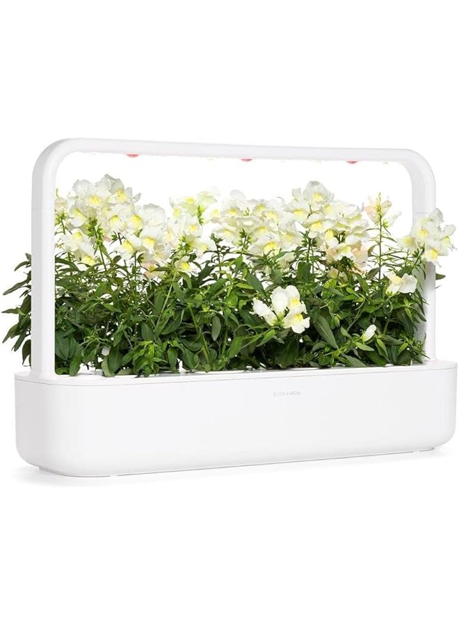 كليك اند جرو مجموعة من 3 قطع من سناب دراجون الأبيض - Image 3