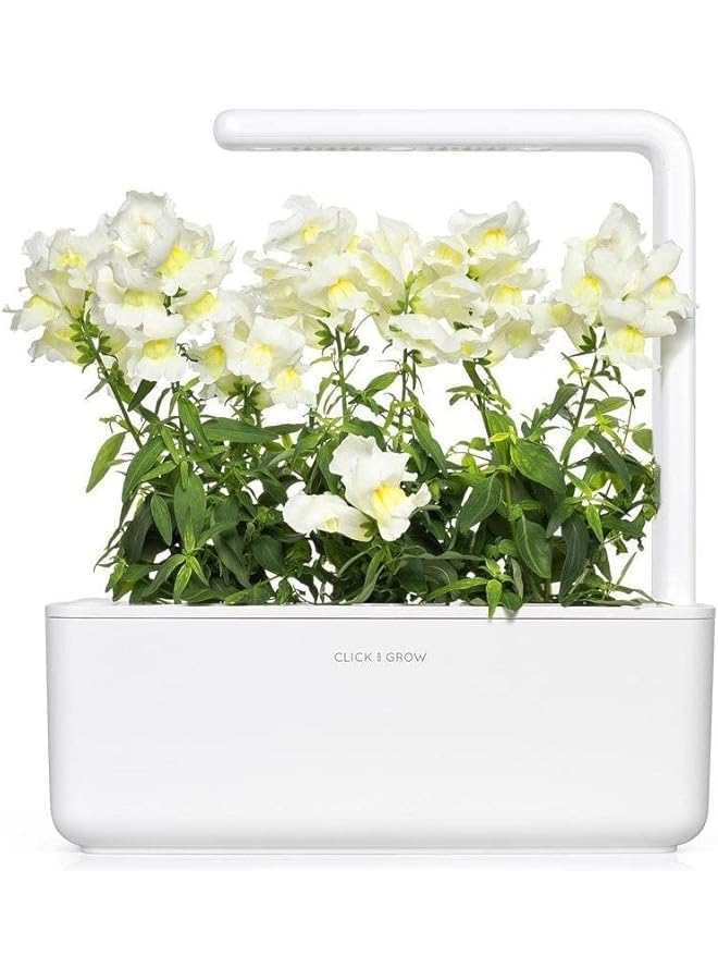 كليك اند جرو مجموعة من 3 قطع من سناب دراجون الأبيض - Image 2