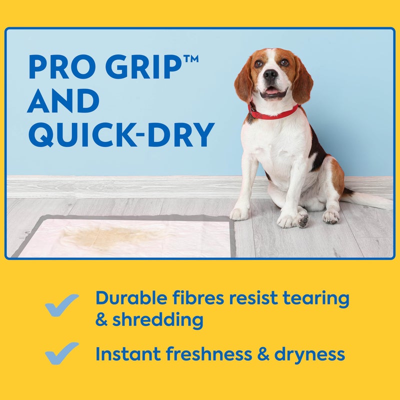 OUT! Petcare Puppy Pads XXL, Heavy Duty, Leak Proof Pee Pads for Dogs, Potty Training & Housebreaking, Puppy Essentials (26"x30", 30 Count) - Image 4