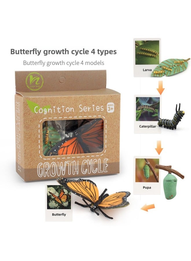Realistic Simulation Animal Plant Models Toy Collection - Dinosaurs Dragons Unicorns Mermaids Sharks More-Color:PL127-2401 Butterfly Growth Cycle + English Card + Color Box 78.1g  - Image 1
