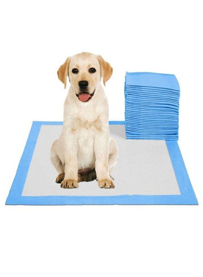 وسادات بول الحيوانات الأليفة، قابلة للاستعمال مرة واحدة، ماصة، سريعة الجفاف، مانعة للتسرب