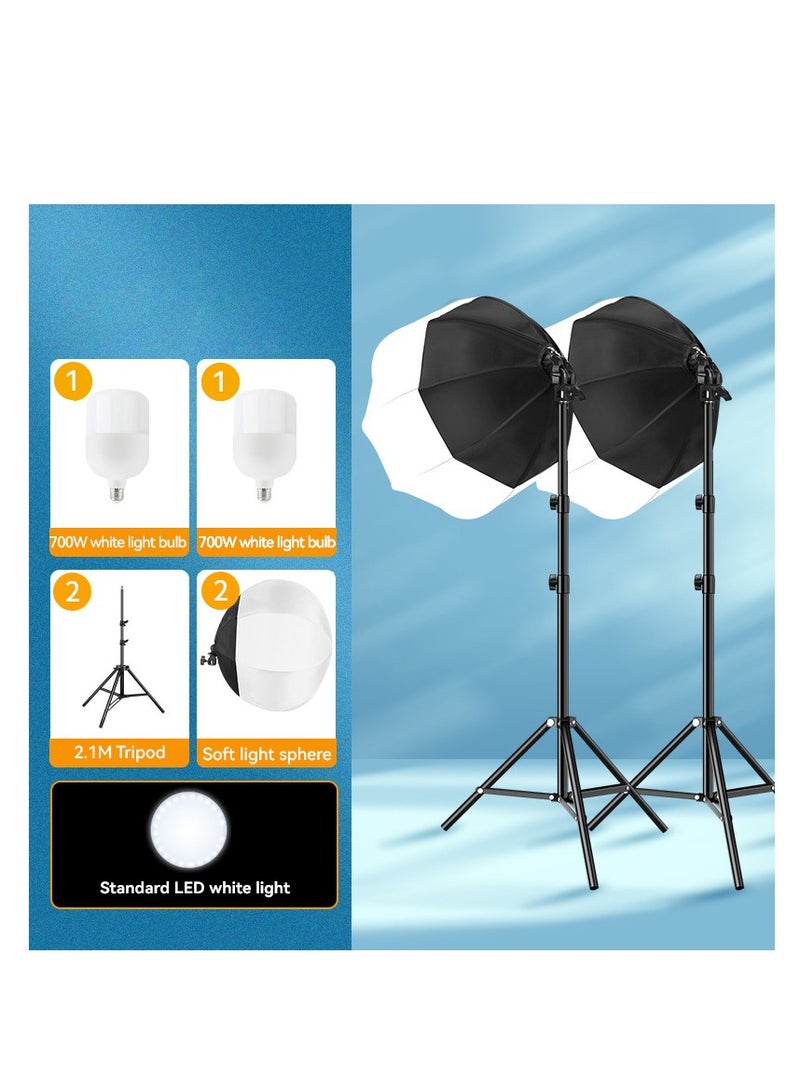 Photography  Lighting Kit with 2 Pcs Bulb for Portrait Product Shooting  - Image 1