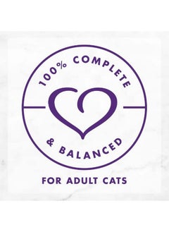 Fancy Feast Fancy Feast Purina Delights with Cheddar Grilled Turkey & Cheddar Cheese Flavor in Gravy (12-CANS) (NET WT 3 OZ Each)  - Image 3