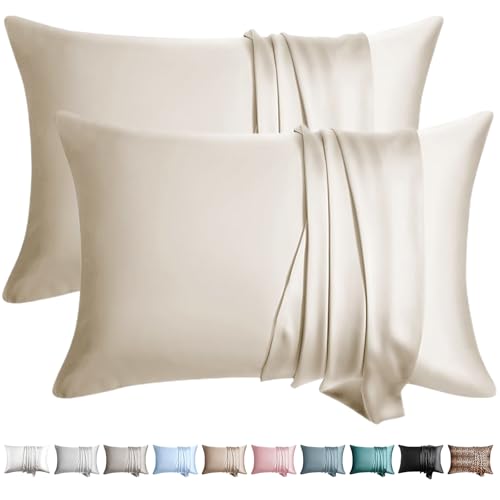 WLOSJ 100% Silk Pillow Cases 2 Pack Queen Size Mulberry Silk Pillowcase for Hair and Skin Set of 2 Highest Grade 6A Silk Soft Breathable Cooling with Hidden Zipper, Beige - Image 1
