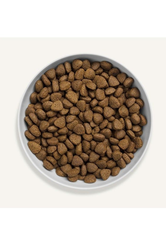 Canagan Free Range Chicken for Dogs Dry Food 12kg - Image 2
