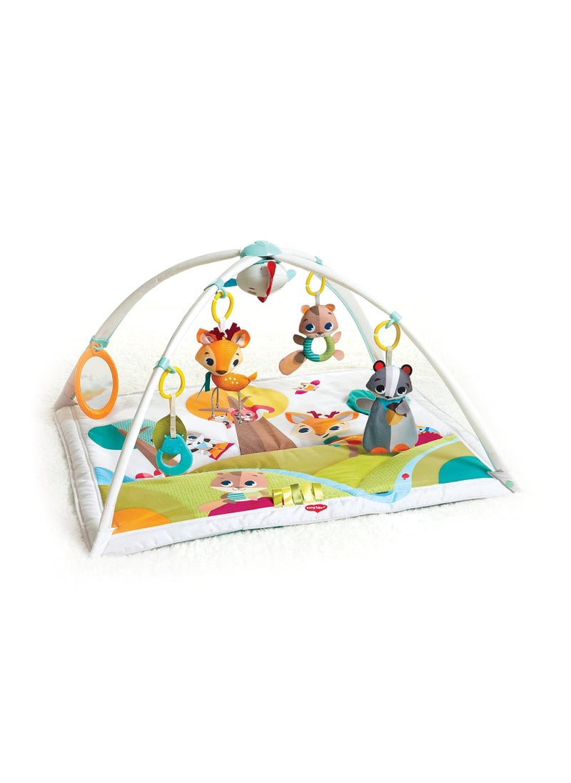 Tiny Love Tiny Love Gymini Deluxe Infant Activity Mat  - Image 1