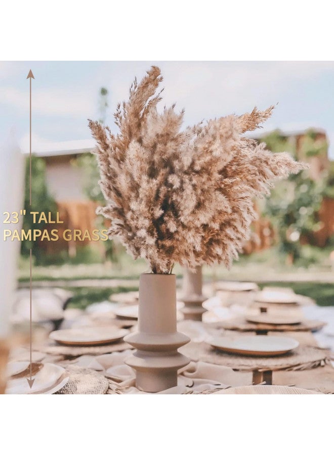 SREED 20 Pcs 23 Inch Tall Fluffy Pampas Grass XL Size Brown Dry Pompous Grass Decor Wedding Flower Boho Decor Natural Pompas Flower Bouquet (Brown, 23 inch) - Image 3