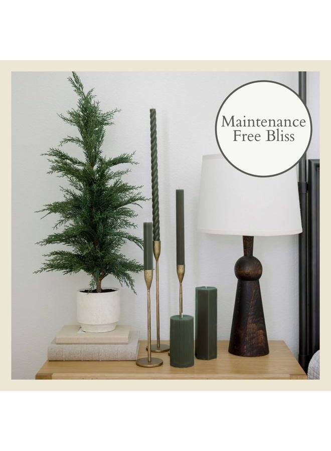 CG Hunter Holiday Collection, Set-of-2 Faux Evergreen Cedar Trees, Premium Artificial Indoor & Outdoor Cedar Tree Stands 24" Tall in Creme Pot–Perfect Christmas Decoration - Image 5