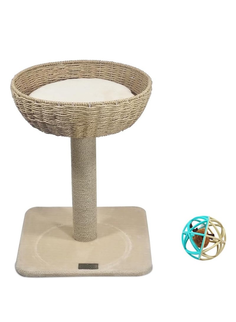 NNC PETS Cat tree with Rattan wicker basket perch, Interactive cat toy, Sisal scratching post and Sturdy Base, 53 cm Cat climbing frame for Indoor cats, Cat tree activity center and Easy to assemble (Beige) - Image 1