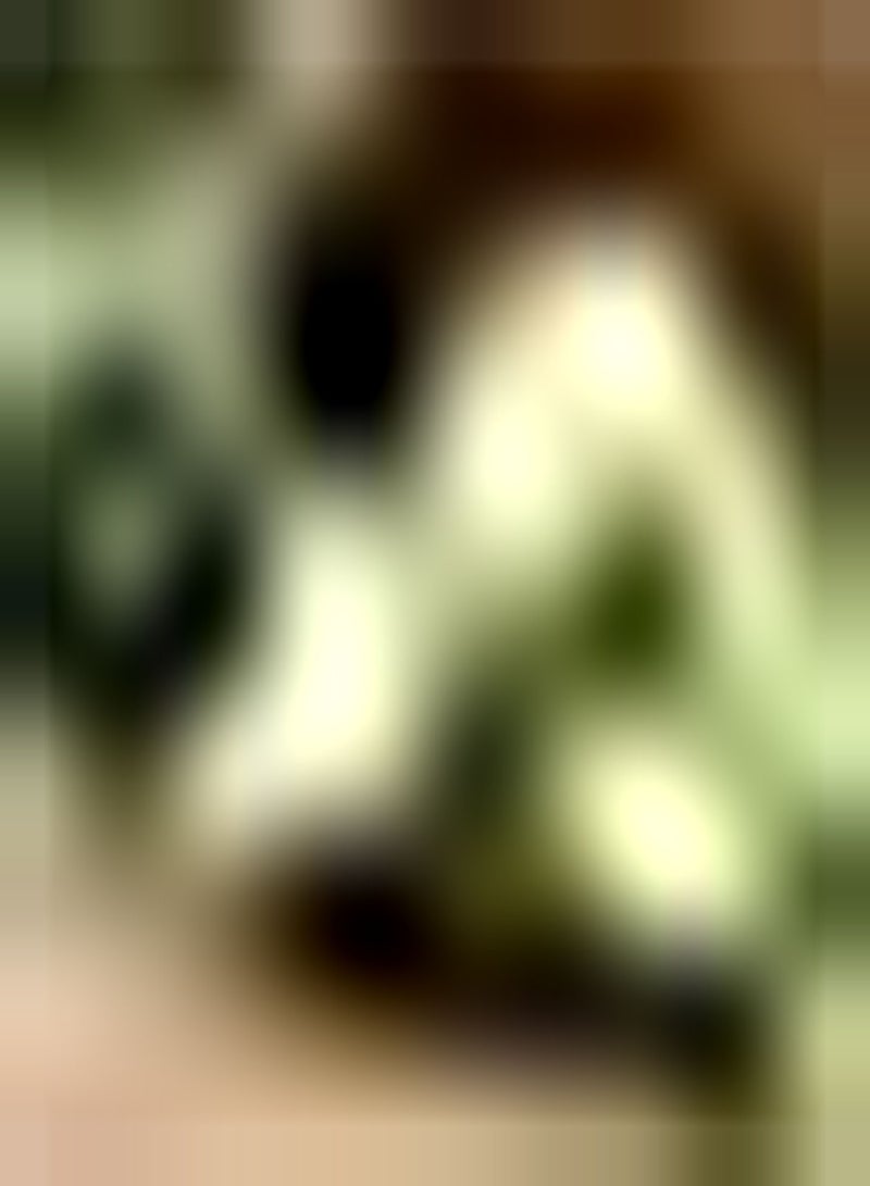 GGOOT 20Stück grüne Traubenkerne die im Freien gepflanzt Werden Sorten mit hoher Keimrate erfordern Nicht viel Pflege geeignet für Anfänger die sehr beliebt sind - Image 3