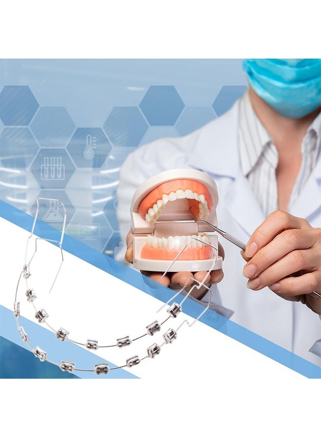 أقواس معدنية للطب الباطني، أقواس معدنية وربطات طب الأسنان، أدوات تدريبية للطلاب - شفافة - Image 3