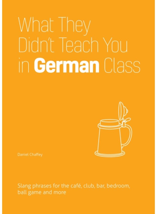 What They Didn t Teach You In German Class Slang Phrases for the Cafe Club Bar Bedroom Ball Game and More - Paperback
