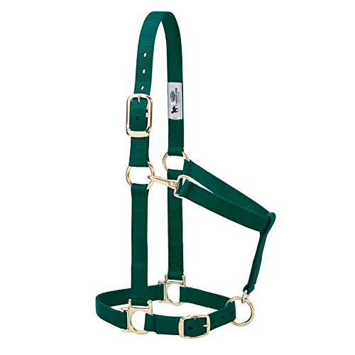 Weaver Equine Weaver Leather Nylon Horse Halter, Padded and Adjustable, Chin and Throat Snap Hook Halters for Horses, Brass Plated Halters for Training - Image 3