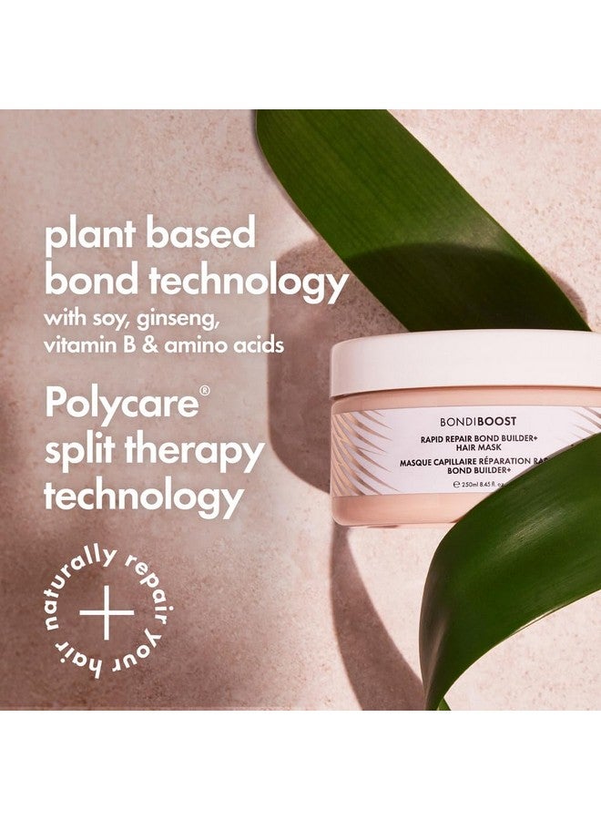 بوندي بوست، مُقوّي الشعر سريع الإصلاح + قناع للشعر التالف، 8.45 أونصة سائلة - علاج ترطيب عميق، يعيد القوة واللمعان للشعر - Image 3