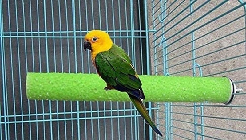 Litewoo 4 PCS Bird Perch Stand Toy Parrot Wooden Stand Platform Colorful Sand Paw Grinding Stick Trim Beak for Small Medium Parakeet Cockatiel Cockatoo Conure Lovebird Finch Cage Accessories - Image 5