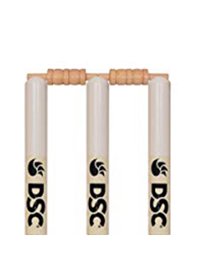 DSC Duco Finish Cricket Stumps Set - Image 4
