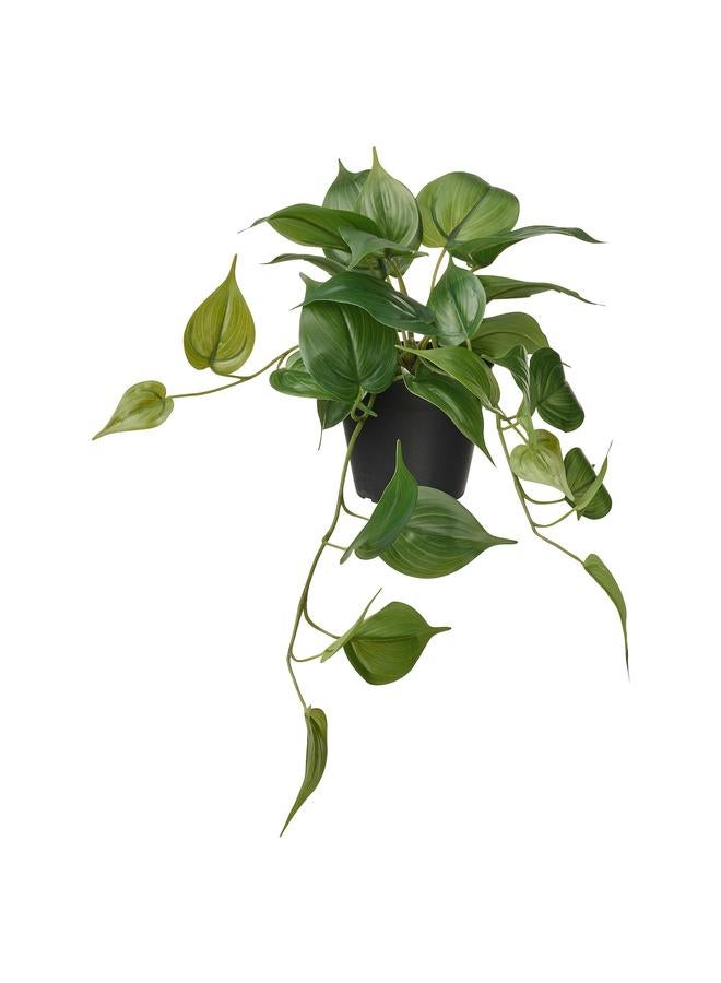 Green Tiger Artificial potted plant, in/outdoor Golden Pothos/hanging, 12 cm - Image 1
