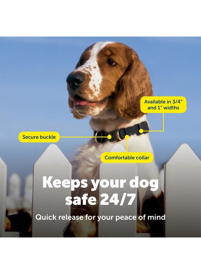 Petsafe KeepSafe Break-Away Collar, Prevent Collar Accidents for your Dog or Puppy, Improve Safety, Compatible with Lead Use, Adjustable Sizes - Image 4