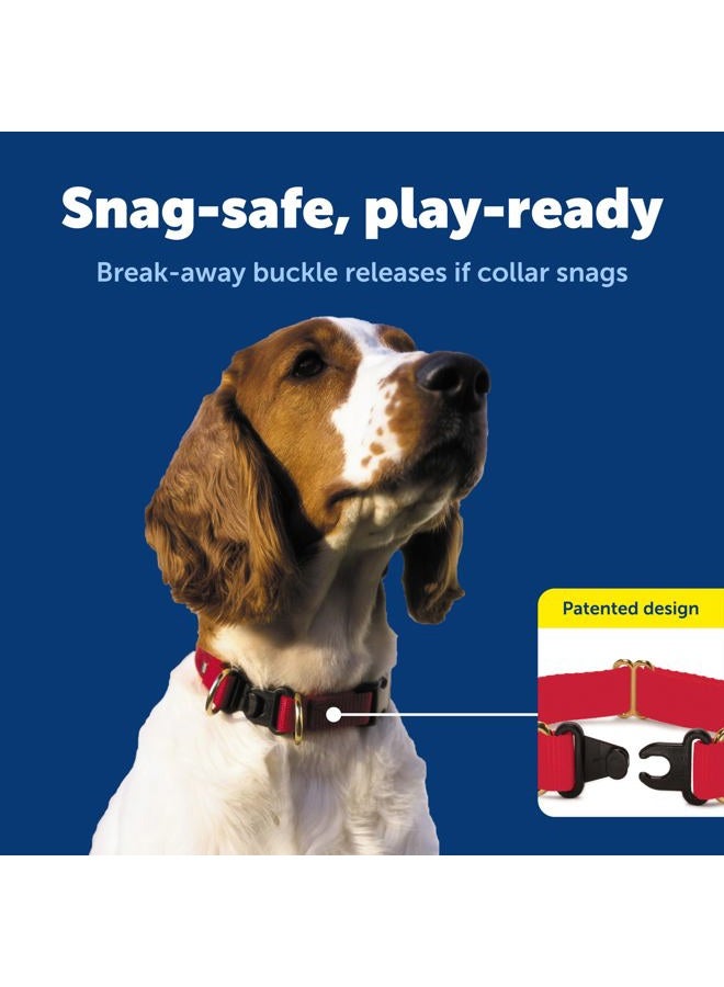 Petsafe KeepSafe Break-Away Collar, Prevent Collar Accidents for your Dog or Puppy, Improve Safety, Compatible with Lead Use, Adjustable Sizes - Image 3
