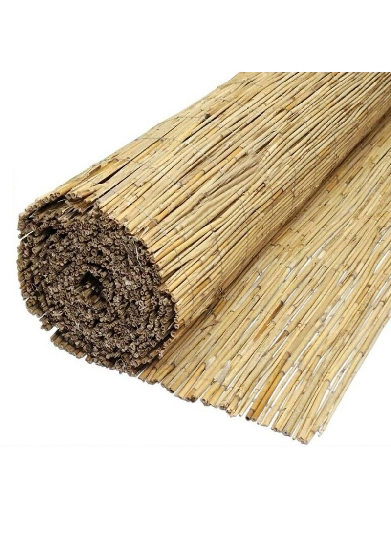 Tildenebamboo Stick Screening 90 X 380 Cm - pzsku/Z0F77263CDA808EFC18FEZ/45/_/1738061903/fa2ce8d1-d95b-47a8-874e-6212f133f5c4