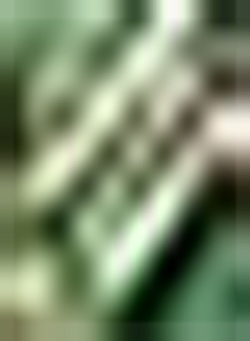 GGOOT 30pcs Courgettezaden Lange cilindrische groentewijnstokgewassen voor boerderijtuin Geniet het Hele jaar Door Van oogstvreugde Populair bij tuinders - Image 1