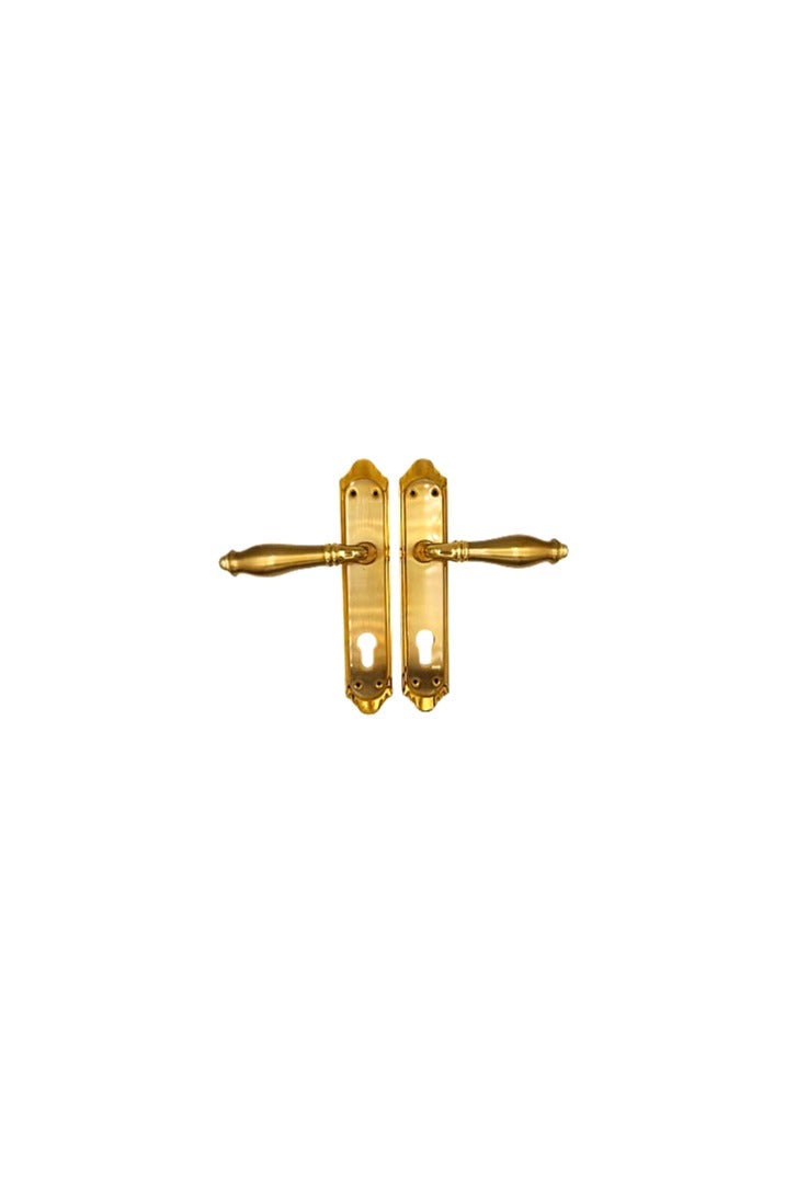 Elegant 201AG Brass Mortise Handle Set – Pair - Image 1