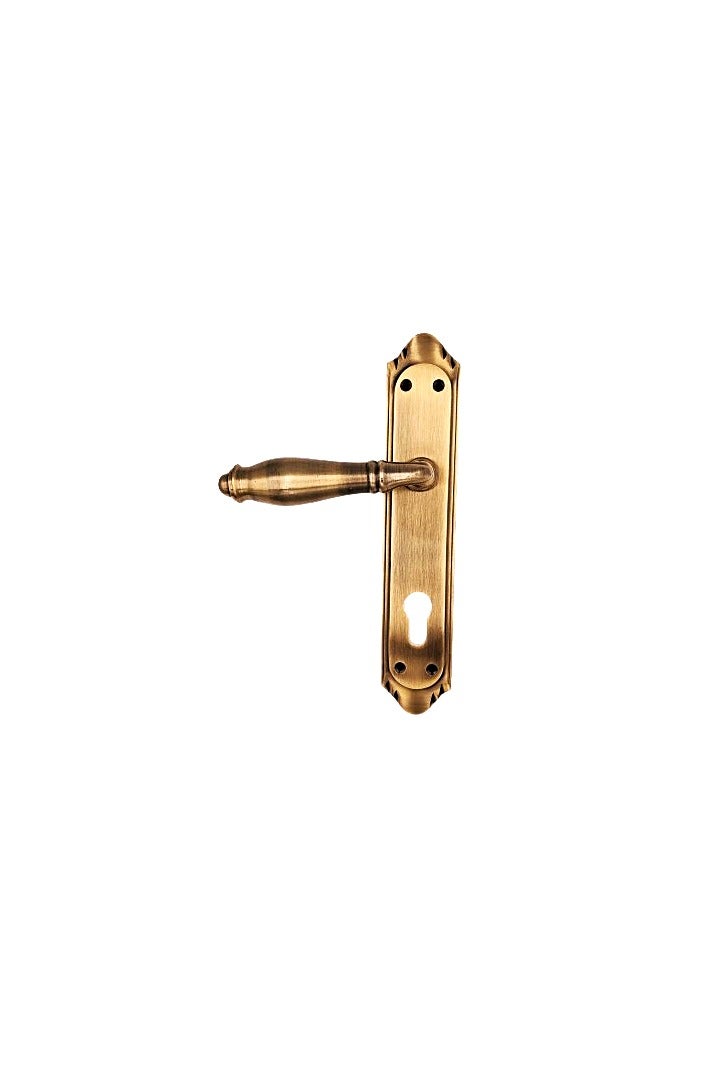Elegant 201AG Brass Mortise Handle Set – Pair - Image 2