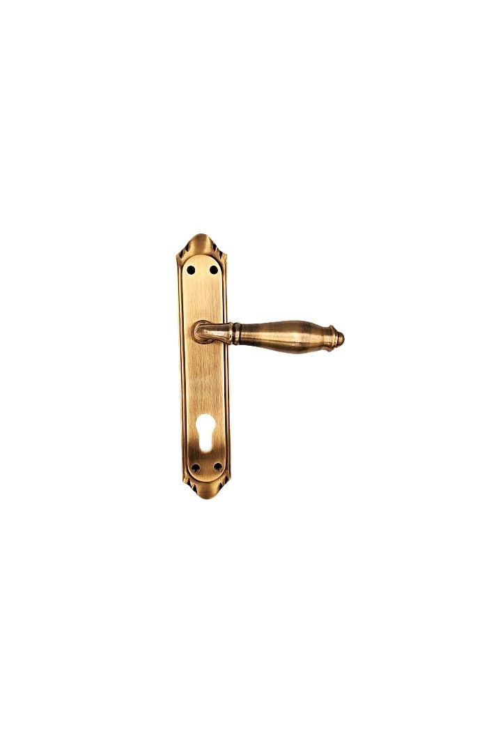 Elegant 201AG Brass Mortise Handle Set – Pair - Image 3